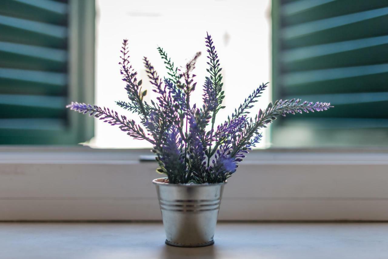 Apartment Matea 스플리트 외부 사진